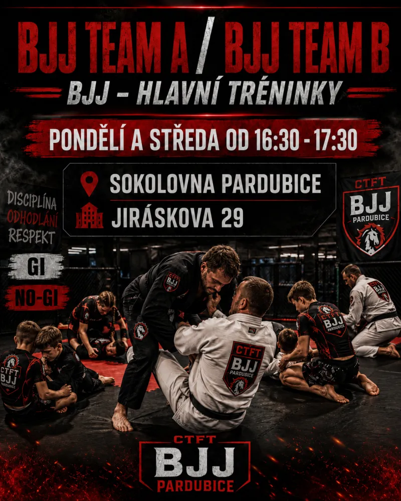 BJJ – GI / NO - GI 